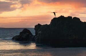 Finding Confidence and Motivation in your Writing